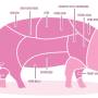 pork_cuts_2.jpg