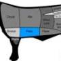 hanger_steak_diagram.jpg