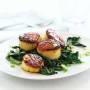 hoisin-glazed_scallops_with_spinach_and_cilantro.jpg